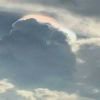 Lzf