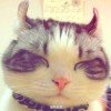 EmanonCat