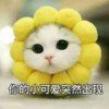 づ夢回千年╄