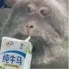 一地土豆