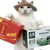 云里