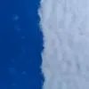 喝喝茶