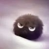 hh