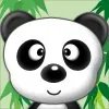 许俊