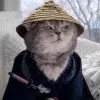 MASTER. WANG
