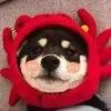 小荣