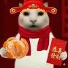 忱