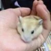 滚蛋吧兄弟gotohell