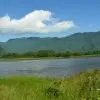 风轻丶云淡（1）