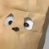胖虎