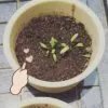 愉快的小咸鱼