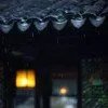 淡暮听雨
