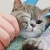 QWER