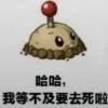 红中