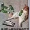 伞伞活得好丧丧