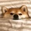 ？