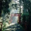 挽风