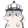 xiaonosong头像