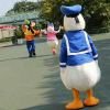 ZyjacyaS头像