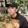 大梨头像