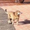 Special头像