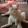 ich liebe dich头像