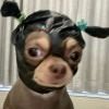 犯贱修勾头像