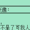电子宠物
