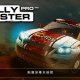 Rally Master Pro图标